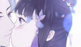 动漫双人,跨越次元的羁绊之旅