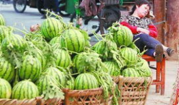 郯城吃瓜最新事件爆料新闻,最新爆料揭示惊人真相